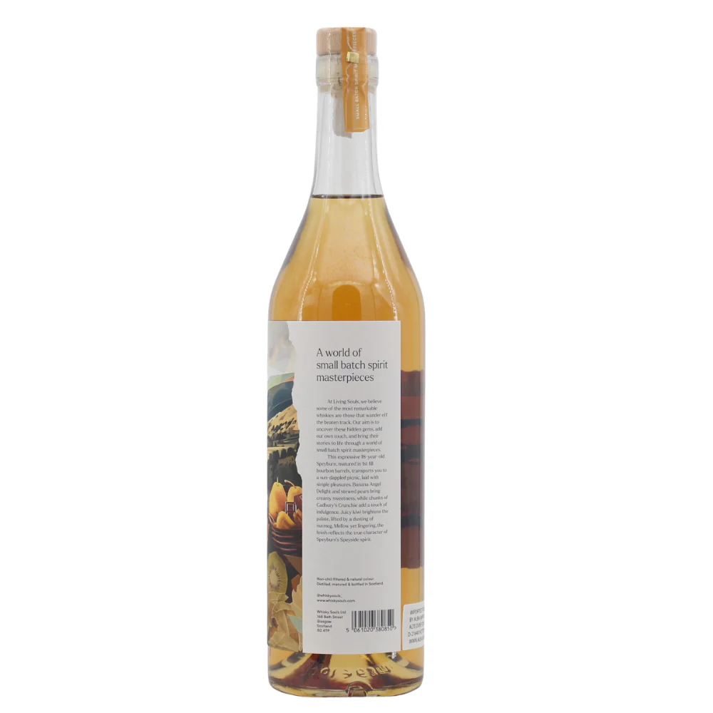 Speyburn 18 Jahre Living Souls 1st Fill Bourbon Barrels 46,5% 0,7l - Image 2